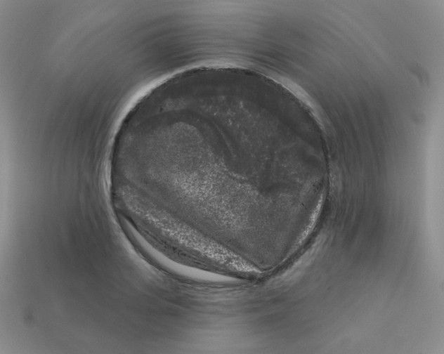 X0000113610935200910091539