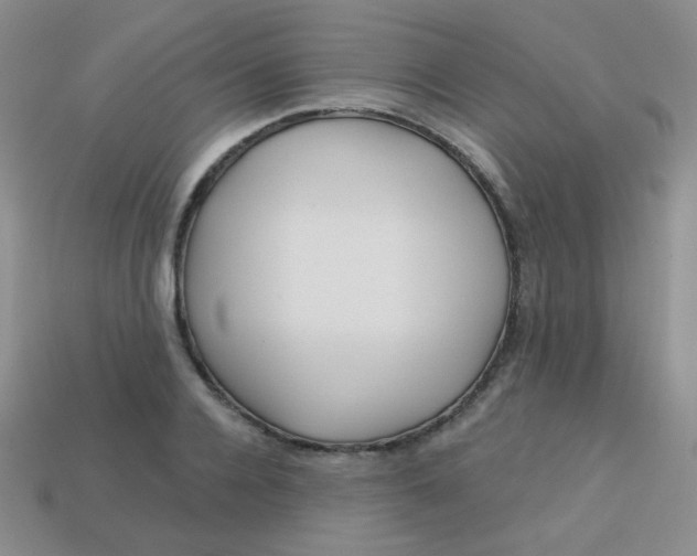 X0000113610936200910091539