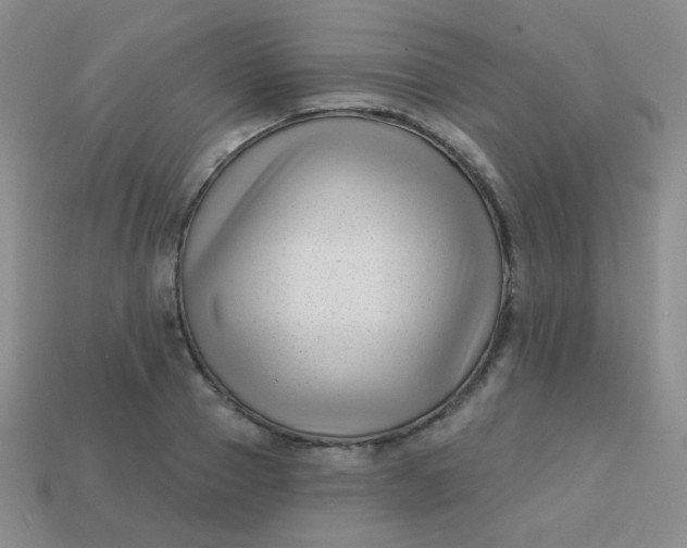 X0000113610937200910091539