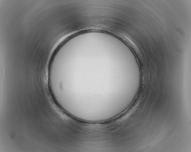 X0000113610940200910091539