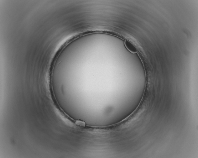 X0000113610942200910091539