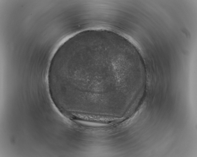 X0000113610943200910091539