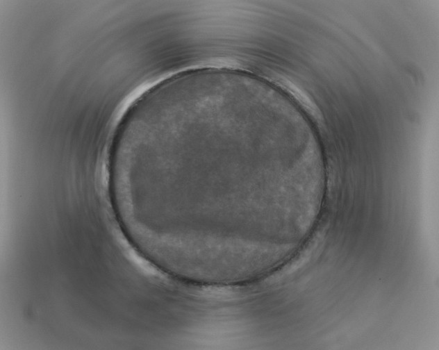 X0000113610944200910091539