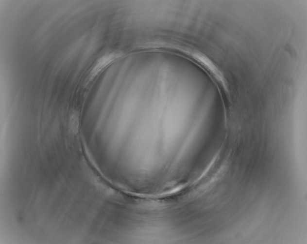 X0000113610945200910091539