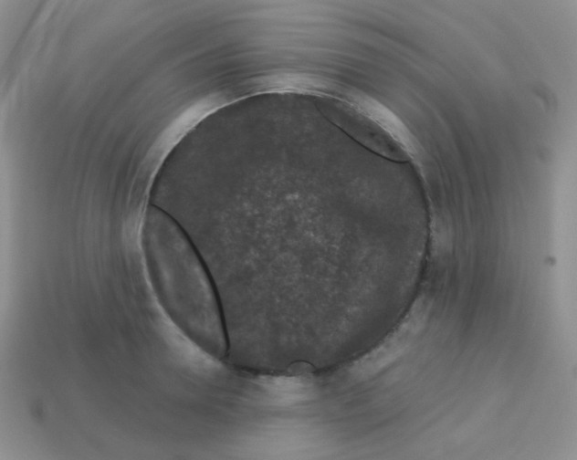 X0000113610946200910091539