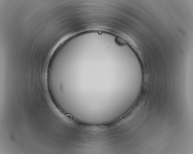 X0000113610947200910091539