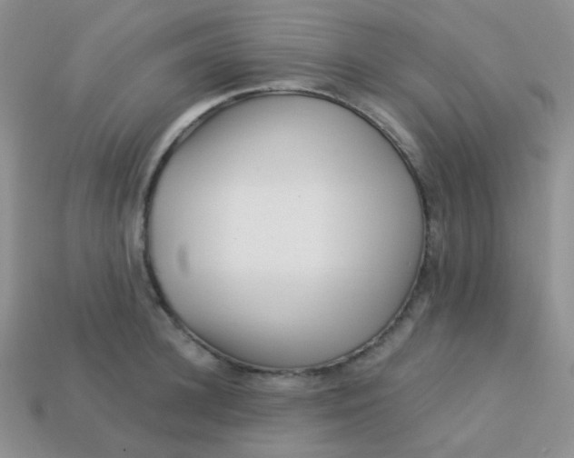 X0000113610948200910091539