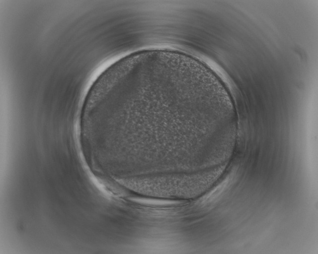 X0000113610951200910091539