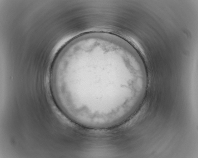 X0000113610952200910091539