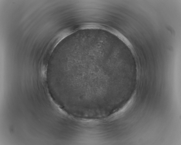 X0000113610953200910091539