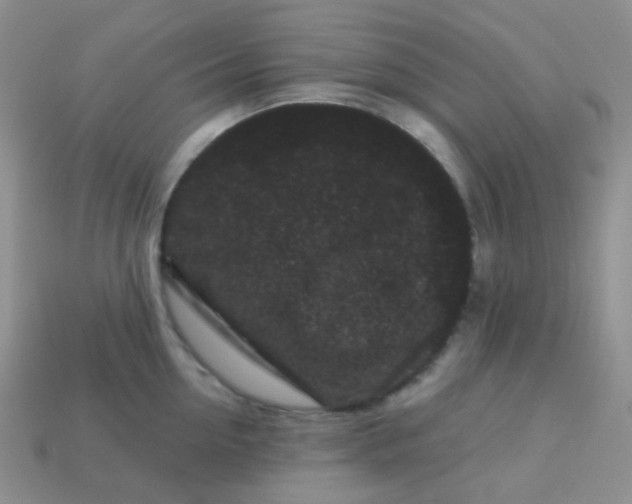 X0000113610954200910091539