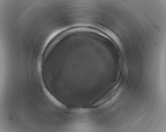 X0000113610958200910091539