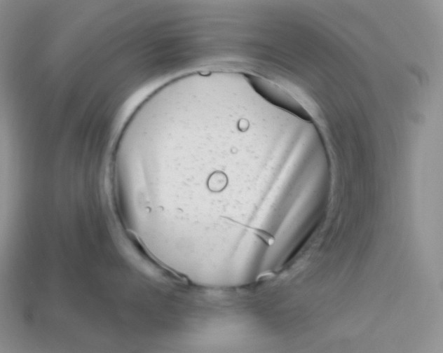 X0000113610960200910091539