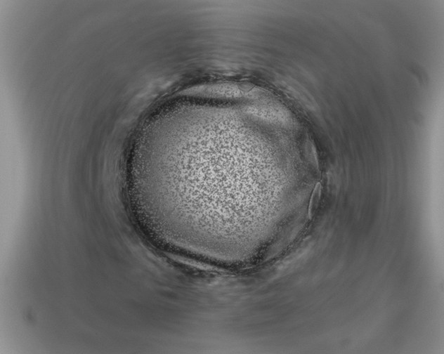 X0000113610961200910091538