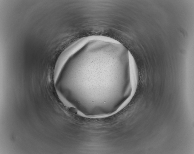 X0000113610962200910091538