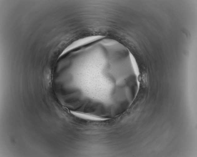 X0000113610963200910091538