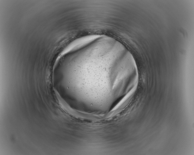 X0000113610964200910091538