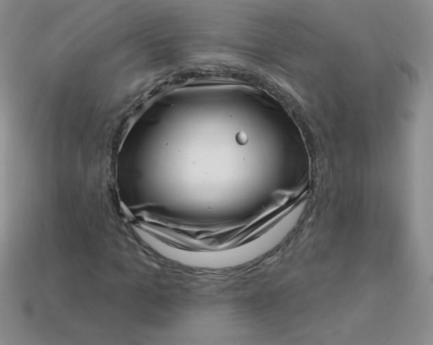 X0000113610965200910091538