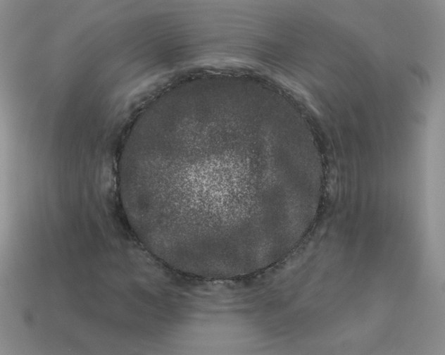 X0000113610966200910091538