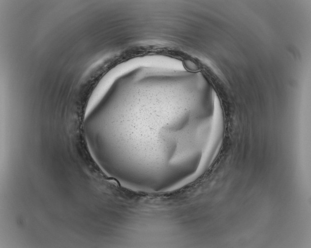 X0000113610967200910091538