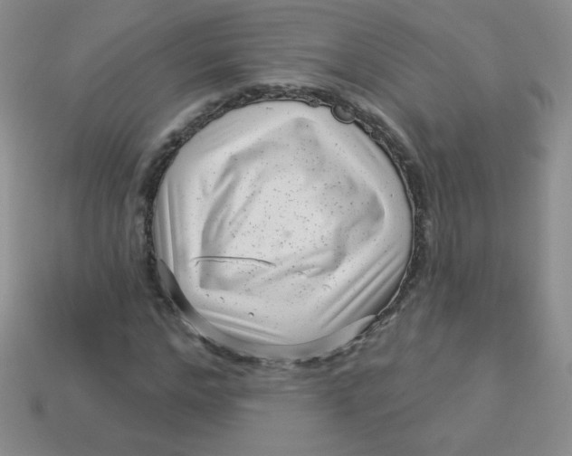 X0000113610968200910091538