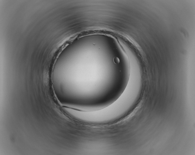 X0000113610969200910091538