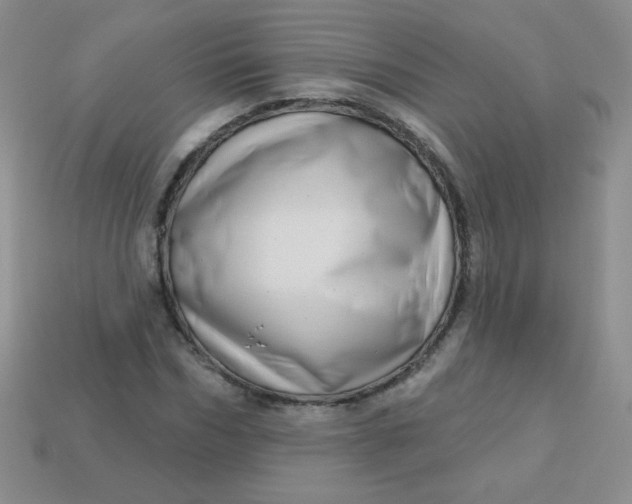 X0000113610970200910091538