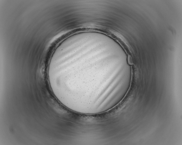 X0000113610971200910091538