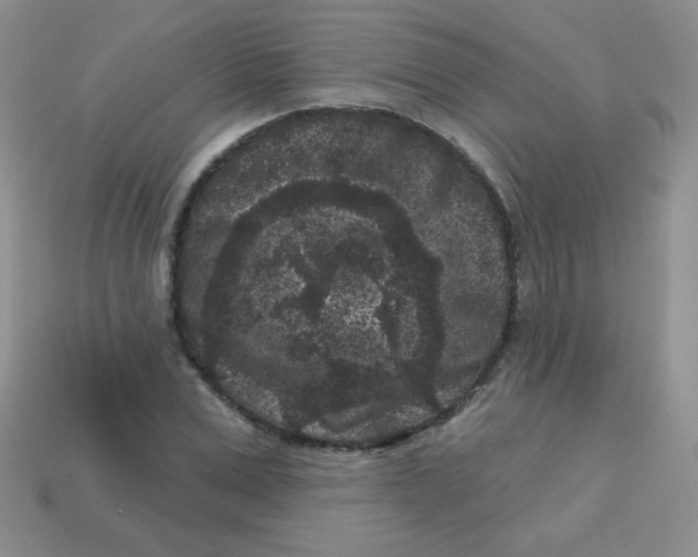 X0000113610975200910091538