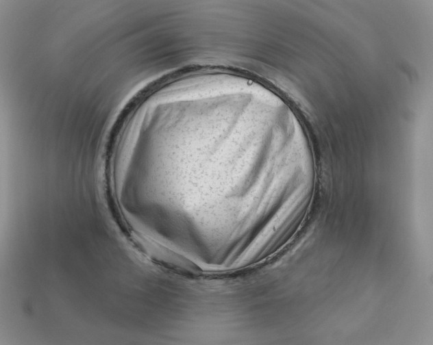 X0000113610976200910091538