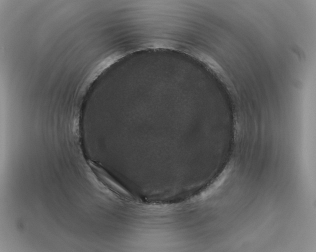 X0000113610977200910091538