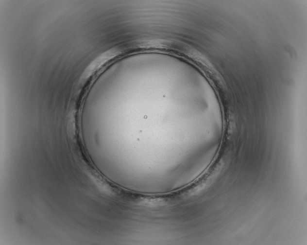 X0000113610978200910091538