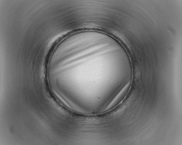 X0000113610979200910091538