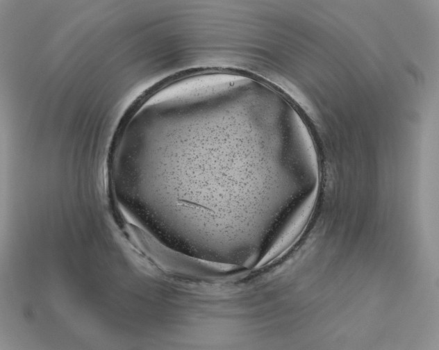 X0000113610980200910091538