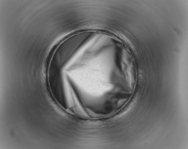 X0000113610981200910091538