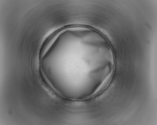 X0000113610982200910091538