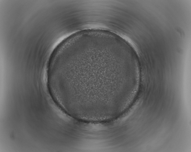 X0000113610983200910091538