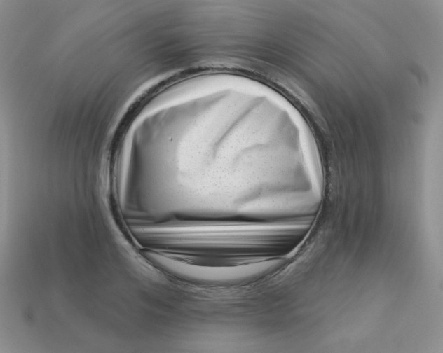 X0000113610984200910091538