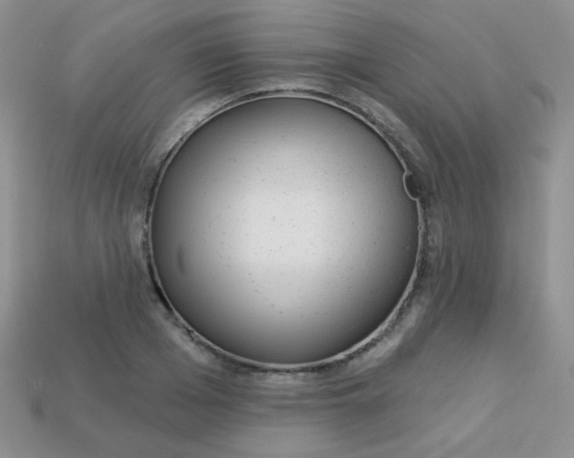 X0000113610985200910091538