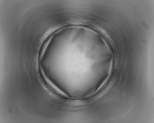 X0000113610986200910091538