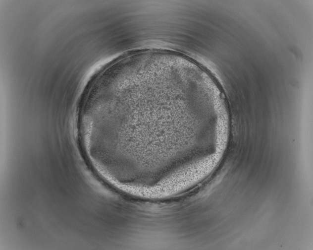 X0000113610987200910091538