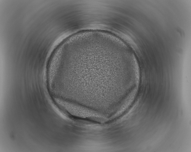 X0000113610990200910091538