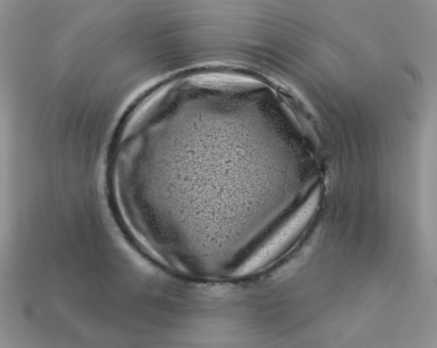 X0000113610991200910091538