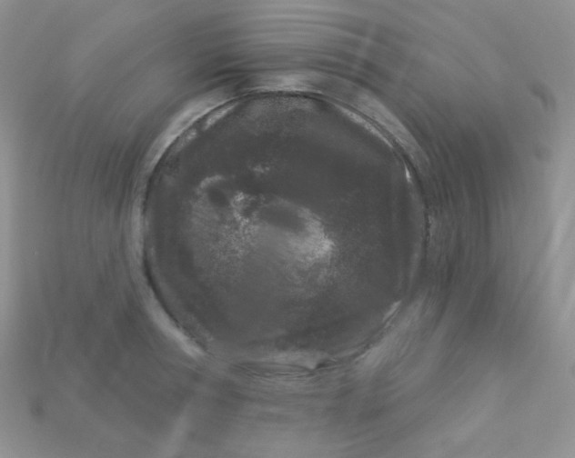 X0000113610994200910091538