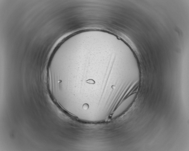 X0000113610996200910091538