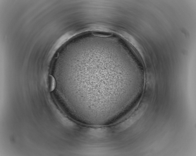 X0000113610997200910091538