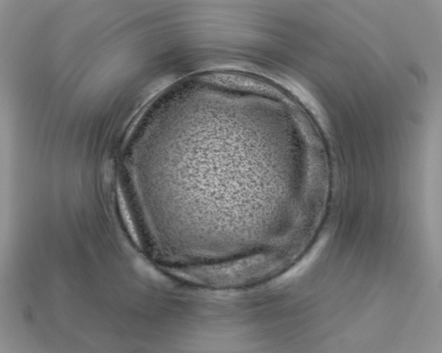 X0000113611001200910091538