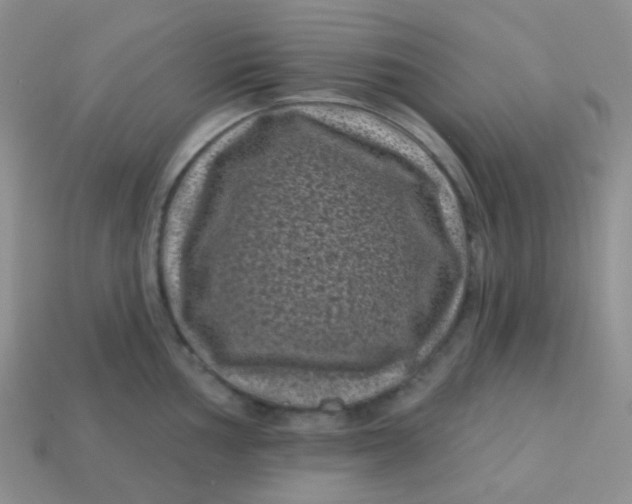 X0000113611002200910091538