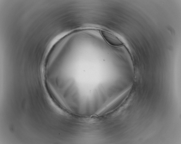 X0000113611003200910091538