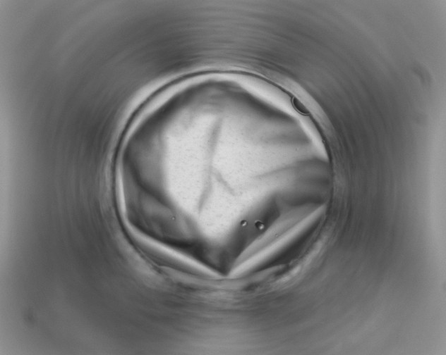 X0000113611004200910091538